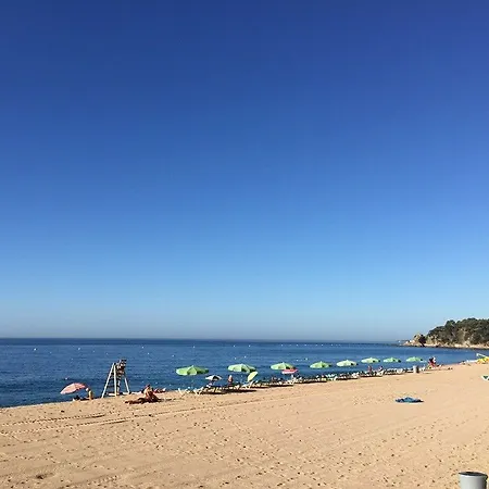 호텔 Delamar 4*sup-adults Only